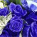 Crystal Blue Roses Bouquet